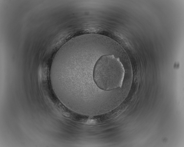 X0000090860647200707271229