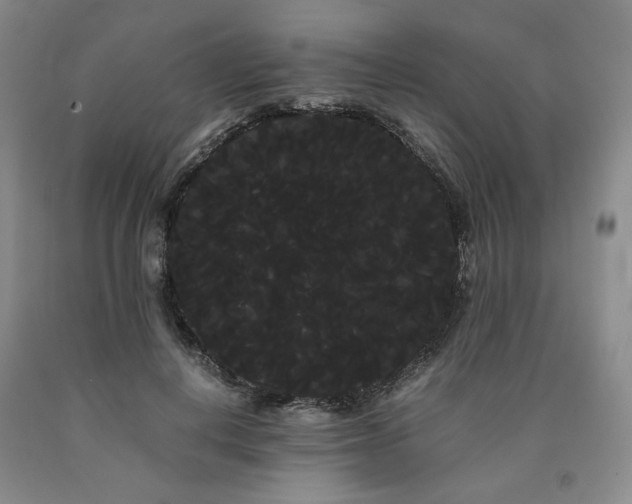 X0000090860648200707271229