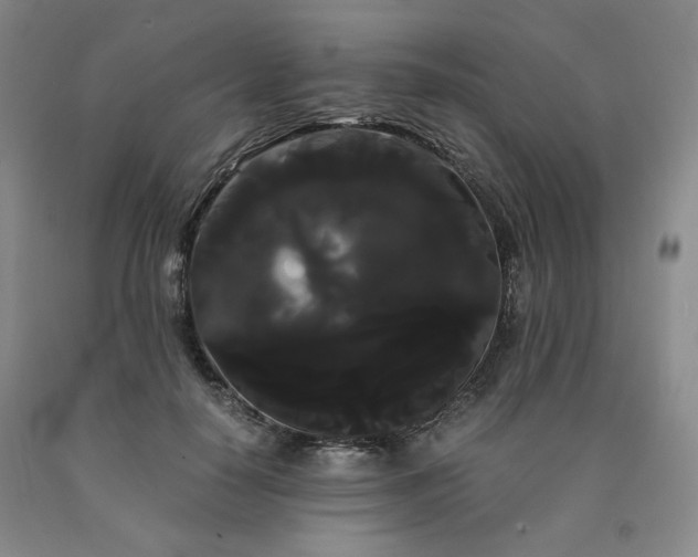 X0000090860650200707271229