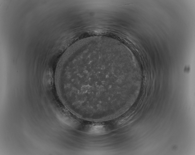 X0000090860651200707271229