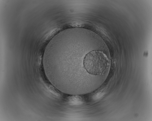 X0000090860652200707271229
