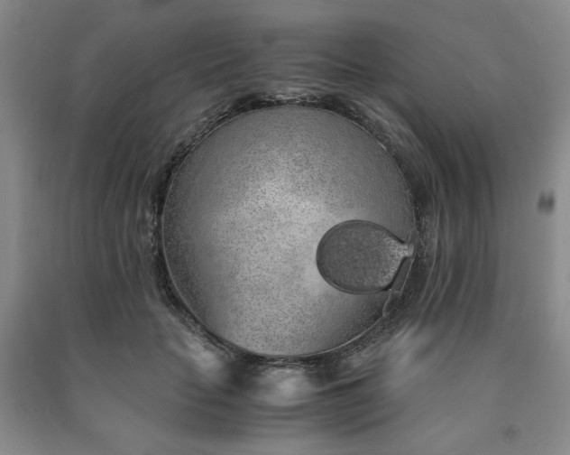 X0000090860653200707271229