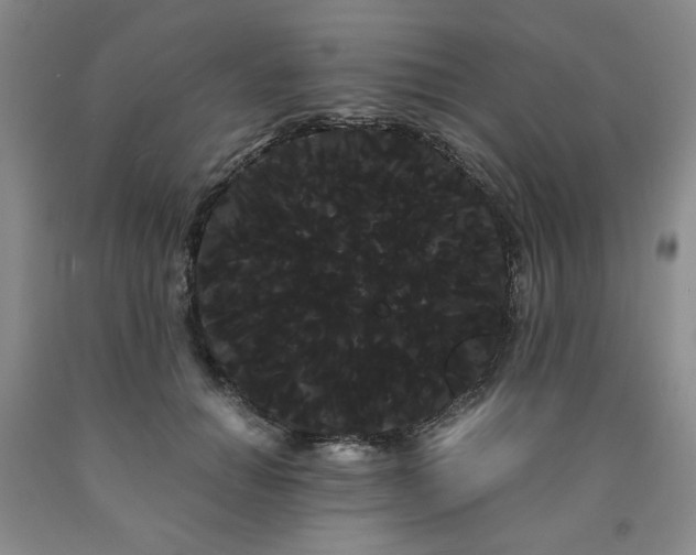 X0000090860654200707271229