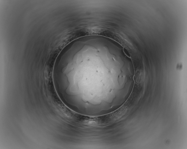 X0000090860655200707271229