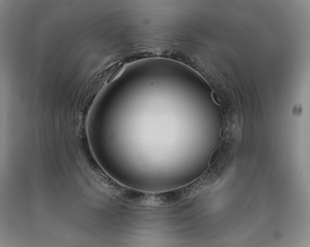 X0000090860656200707271229