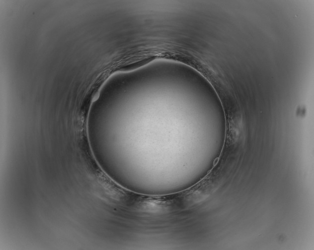X0000090860657200707271229