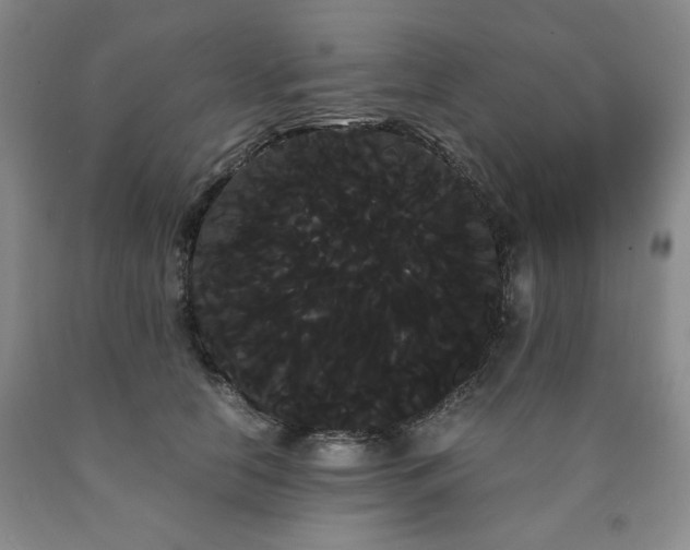 X0000090860658200707271229