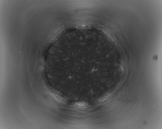X0000090860659200707271229