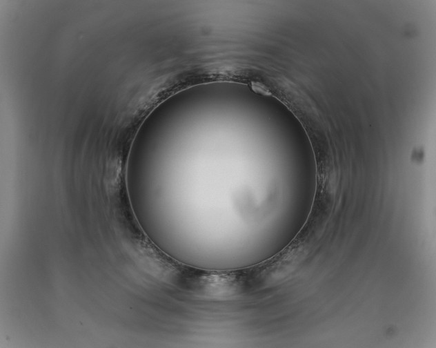 X0000090860660200707271229