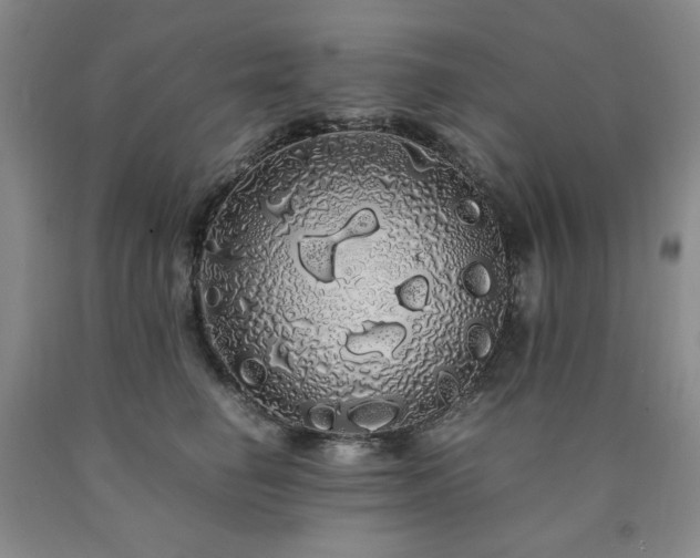 X0000090860662200707271229