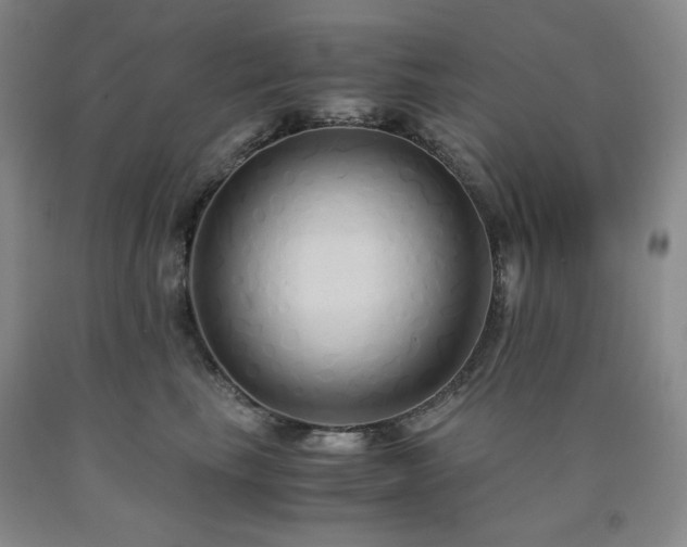 X0000090860665200707271230