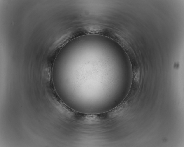 X0000090860666200707271230
