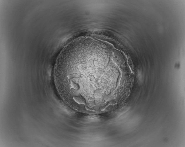X0000090860668200707271230