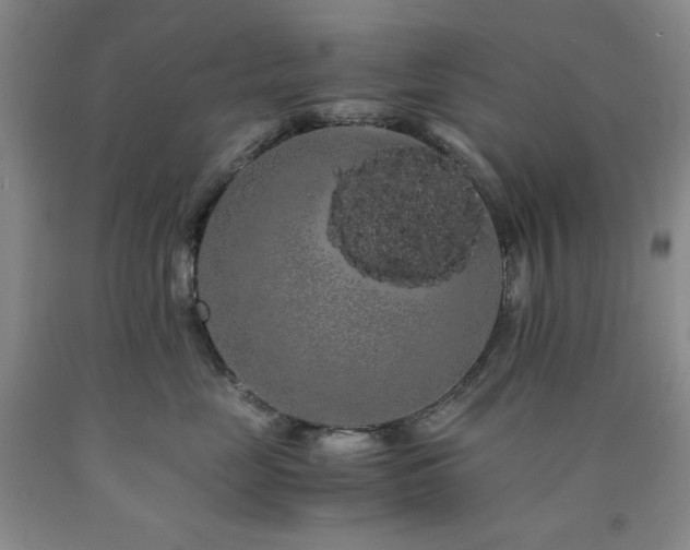 X0000090860669200707271230
