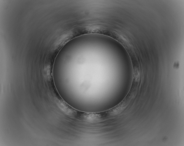 X0000090860670200707271230