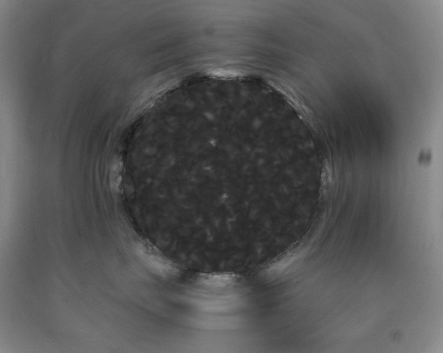X0000090860671200707271230