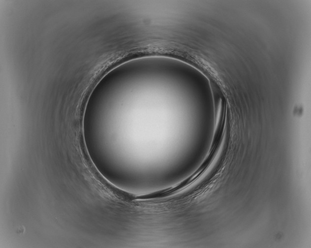X0000090860673200707271229