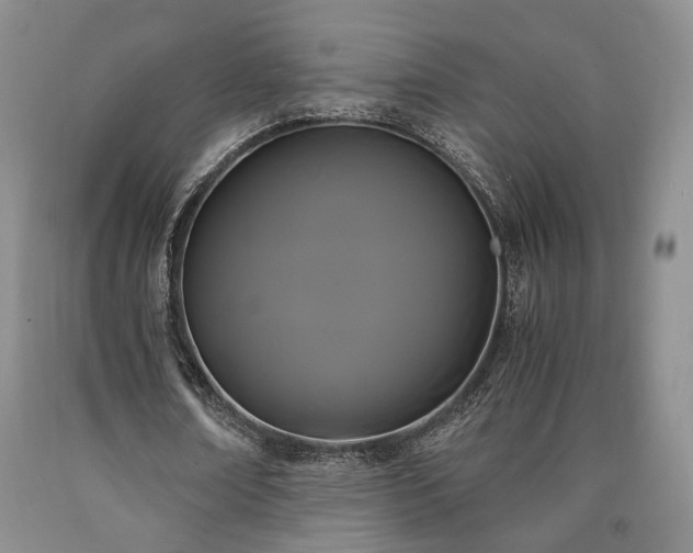 X0000090860674200707271229