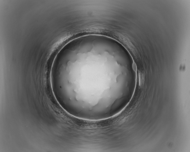 X0000090860675200707271229