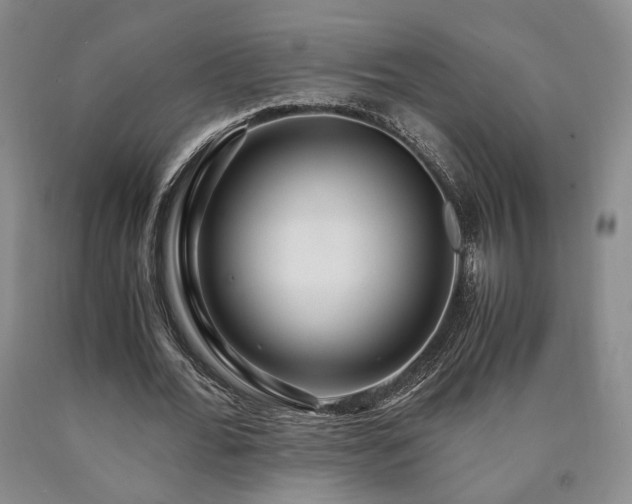 X0000090860676200707271229