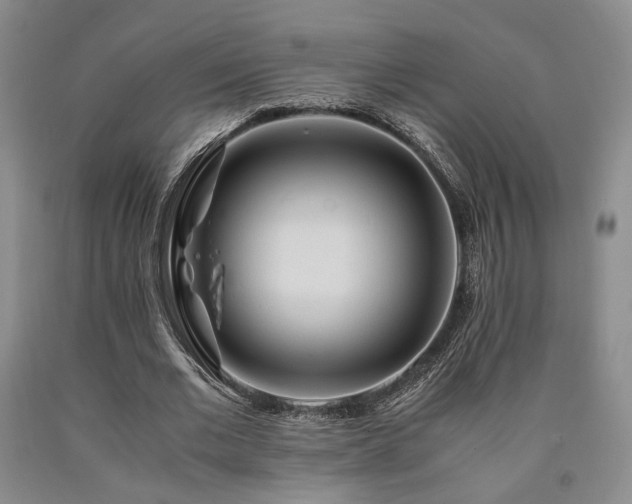 X0000090860677200707271229