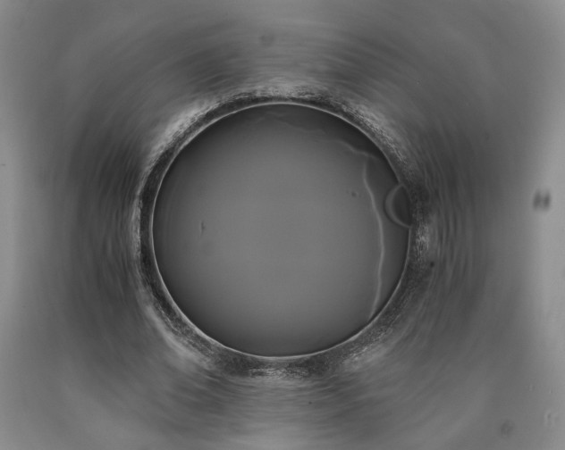 X0000090860678200707271229