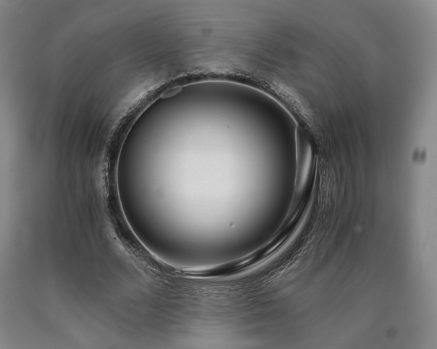 X0000090860680200707271229