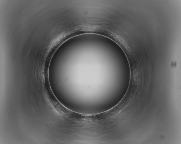 X0000090860682200707271229