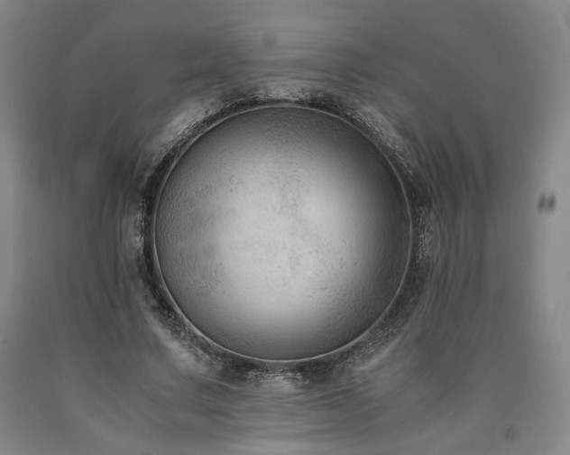 X0000090860683200707271229