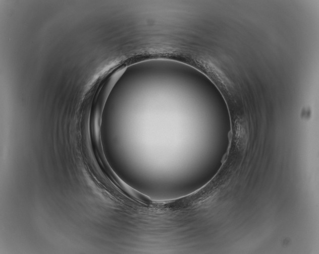 X0000090860684200707271229