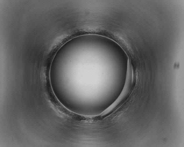 X0000090860688200707271228