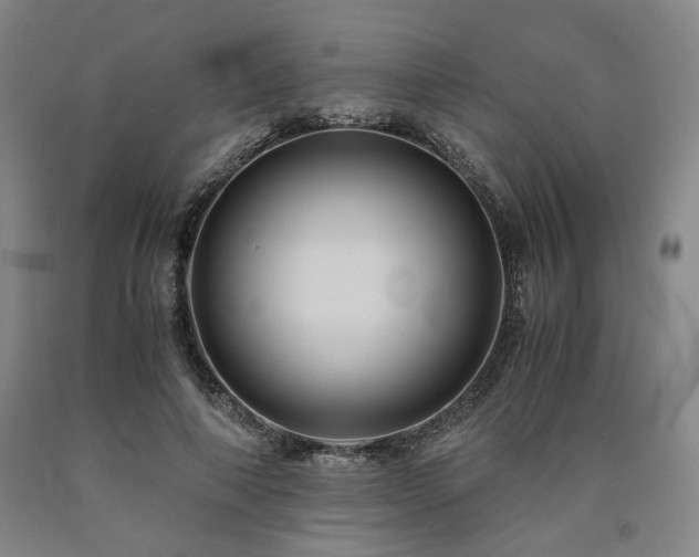 X0000090860690200707271228