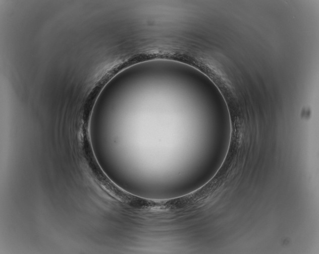 X0000090860692200707271228