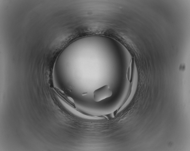 X0000090860693200707271228