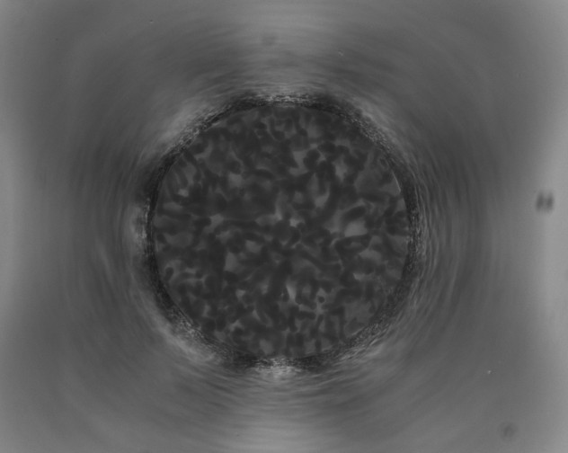 X0000090860695200707271228