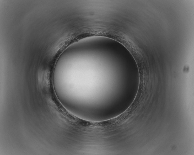 X0000090860696200707271228