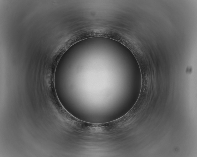 X0000090860698200707271228