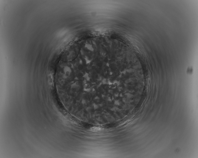 X0000090860699200707271228