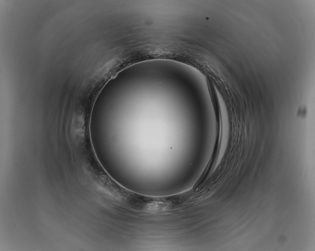 X0000090860700200707271228