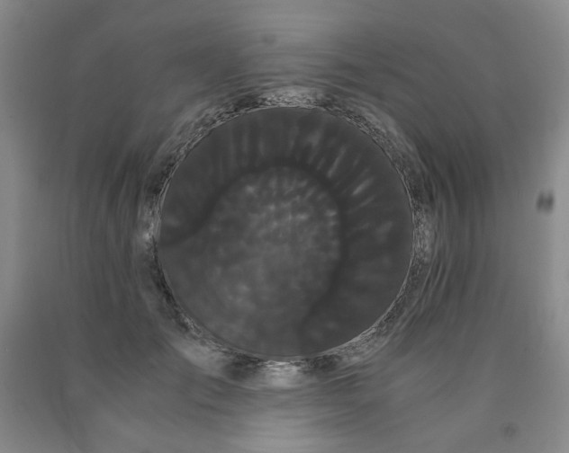 X0000090860701200707271228