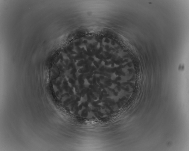 X0000090860703200707271228