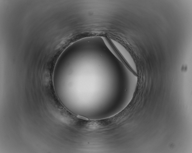 X0000090860704200707271228