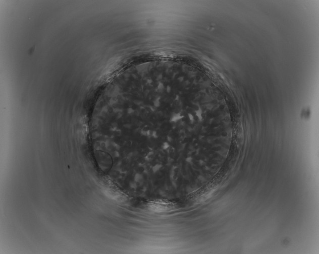 X0000090860707200707271228