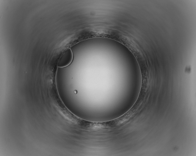 X0000090860710200707271228