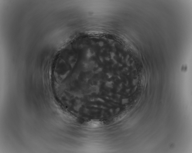 X0000090860711200707271228