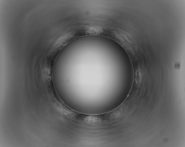 X0000090860714200707271228