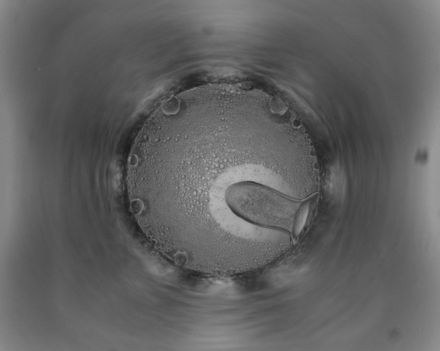X0000090860715200707271228