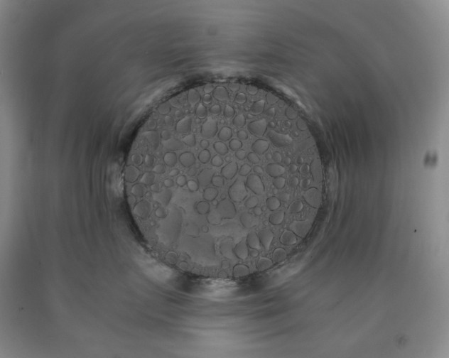 X0000090860719200707271228