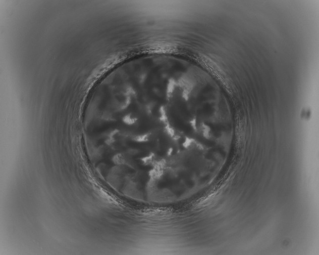 X0000090860721200707271227