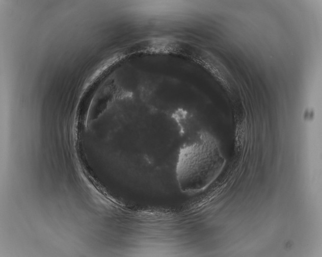 X0000090860722200707271228